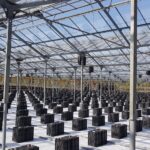 greenhouse lphw unit heaters for better microclimate