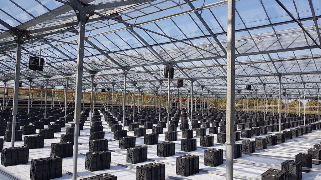 greenhouse lphw unit heaters for better microclimate